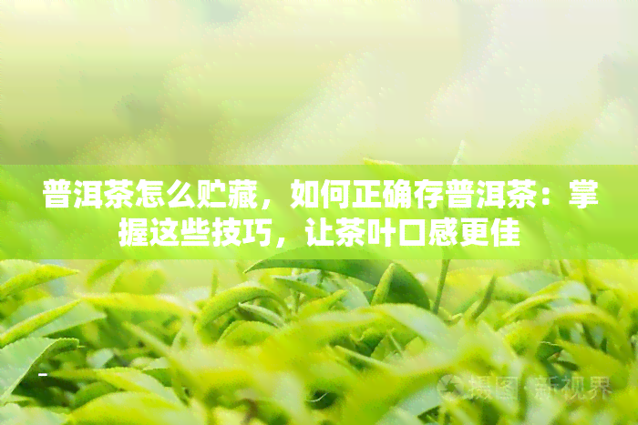 普洱茶怎么贮藏，如何正确存普洱茶：掌握这些技巧，让茶叶口感更佳