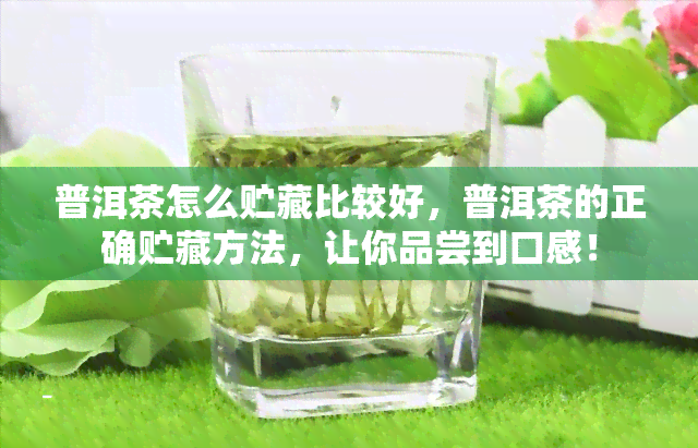 普洱茶怎么贮藏比较好，普洱茶的正确贮藏方法，让你品尝到口感！