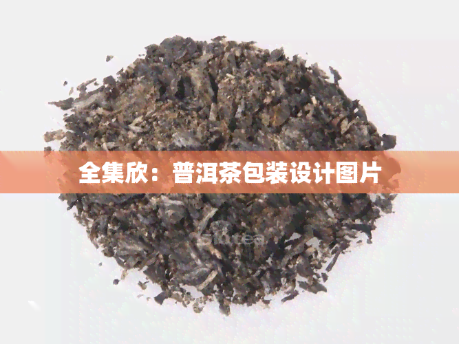 全集欣：普洱茶包装设计图片