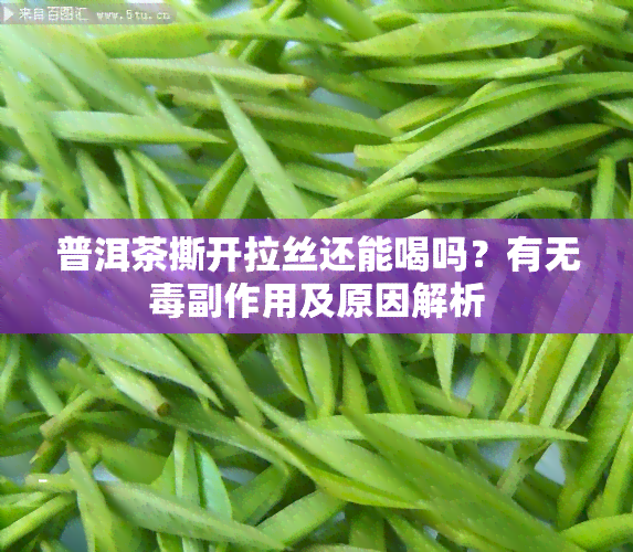 普洱茶撕开拉丝还能喝吗？有无毒副作用及原因解析