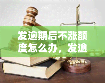 发逾期后不涨额度怎么办，发逾期未提额？教你如何解决！