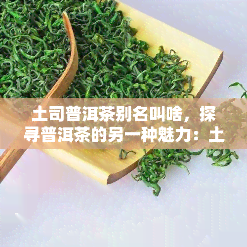 土司普洱茶别名叫啥，探寻普洱茶的另一种魅力：土司普洱茶的别名解析