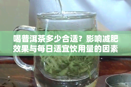 喝普洱茶多少合适？影响减肥效果与每日适宜饮用量的因素