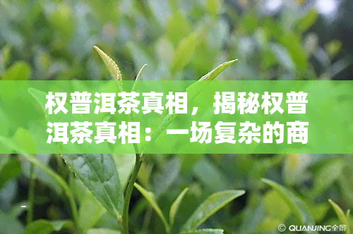 权普洱茶真相，揭秘权普洱茶真相：一场复杂的商业纷争