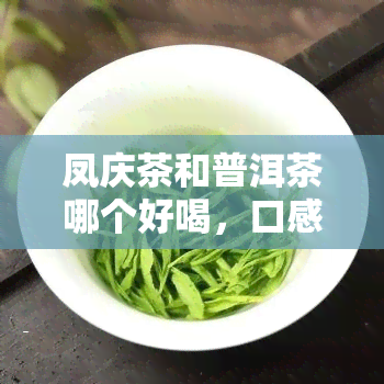 凤庆茶和普洱茶哪个好喝，口感对决：凤庆茶与普洱茶，谁更胜一筹？