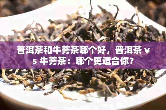 普洱茶和牛蒡茶哪个好，普洱茶 vs 牛蒡茶：哪个更适合你？