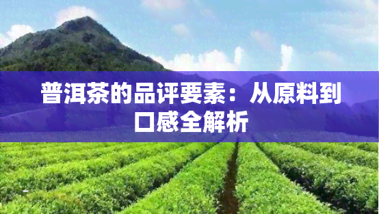 普洱茶的品评要素：从原料到口感全解析