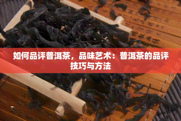 如何品评普洱茶，品味艺术：普洱茶的品评技巧与方法