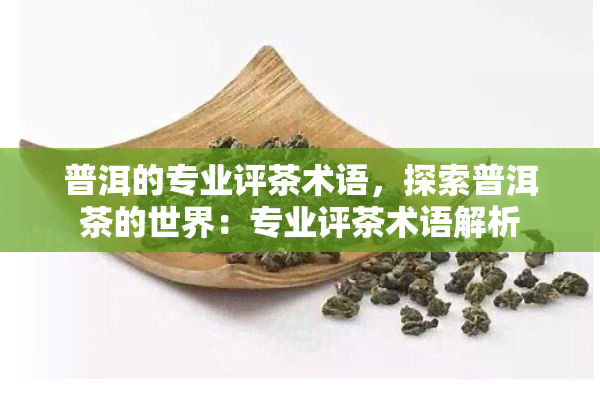 普洱的专业评茶术语，探索普洱茶的世界：专业评茶术语解析