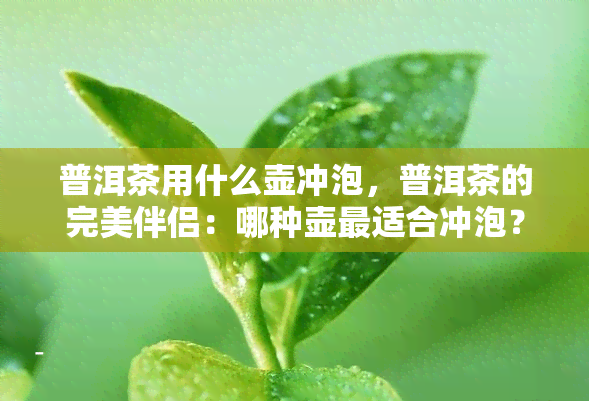 普洱茶用什么壶冲泡，普洱茶的完美伴侣：哪种壶最适合冲泡？