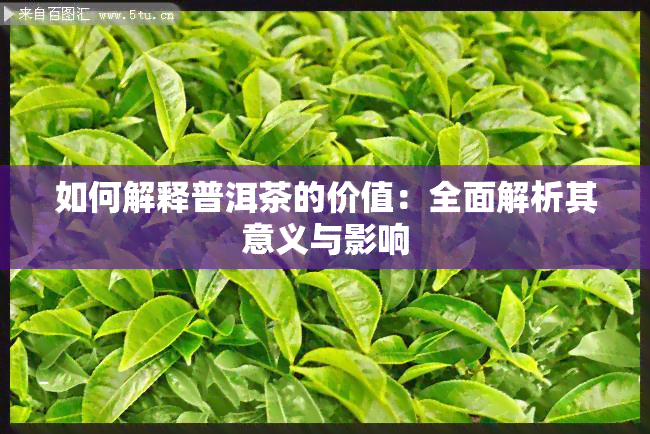 如何解释普洱茶的价值：全面解析其意义与影响