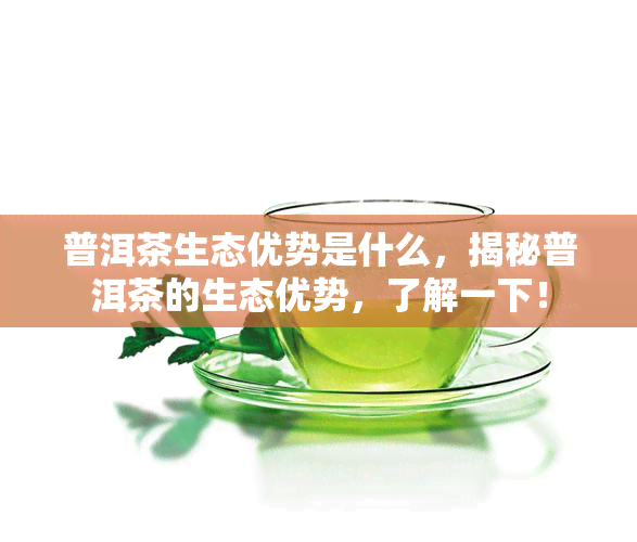 普洱茶生态优势是什么，揭秘普洱茶的生态优势，了解一下！