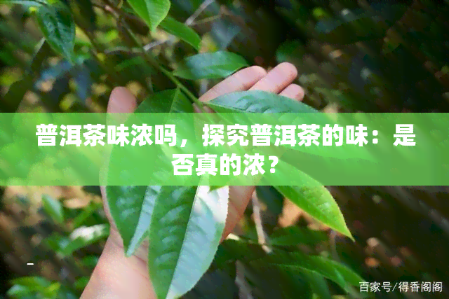 普洱茶味浓吗，探究普洱茶的味：是否真的浓？