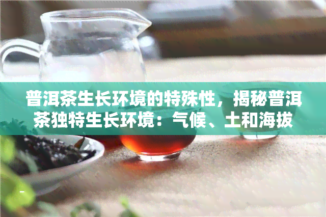 普洱茶生长环境的特殊性，揭秘普洱茶独特生长环境：气候、土和海拔的影响