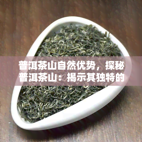 普洱茶山自然优势，探秘普洱茶山：揭示其独特的自然优势