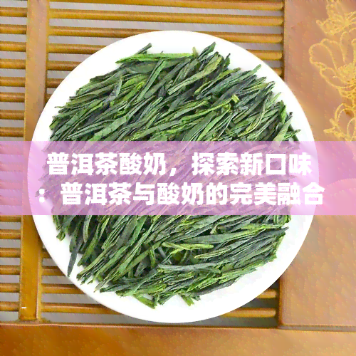 普洱茶酸奶，探索新口味：普洱茶与酸奶的完美融合