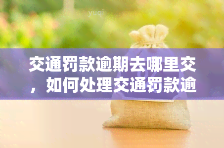 交通罚款逾期去哪里交，如何处理交通罚款逾期？快速找到交款地点！