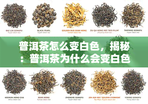 普洱茶怎么变白色，揭秘：普洱茶为什么会变白色？