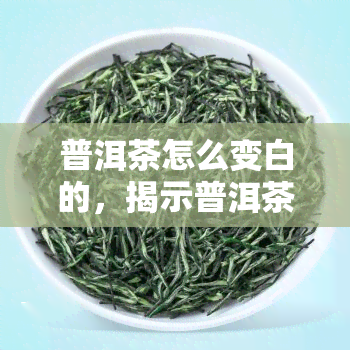 普洱茶怎么变白的，揭示普洱茶变白的秘密：原因与解决方法