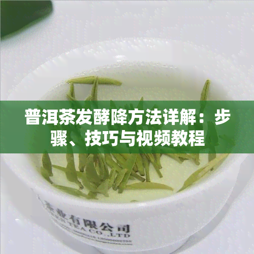 普洱茶发酵降方法详解：步骤、技巧与视频教程