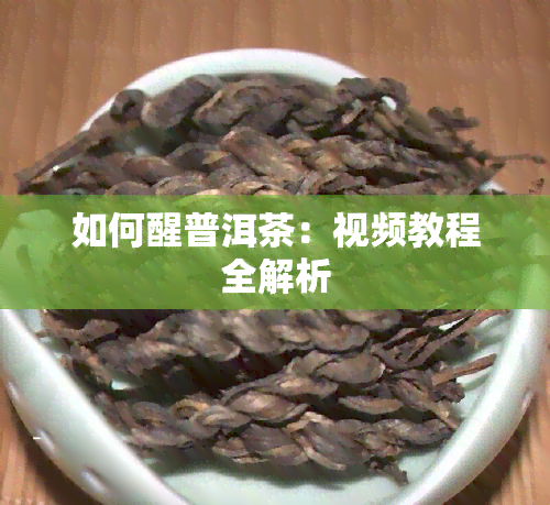 如何醒普洱茶：视频教程全解析