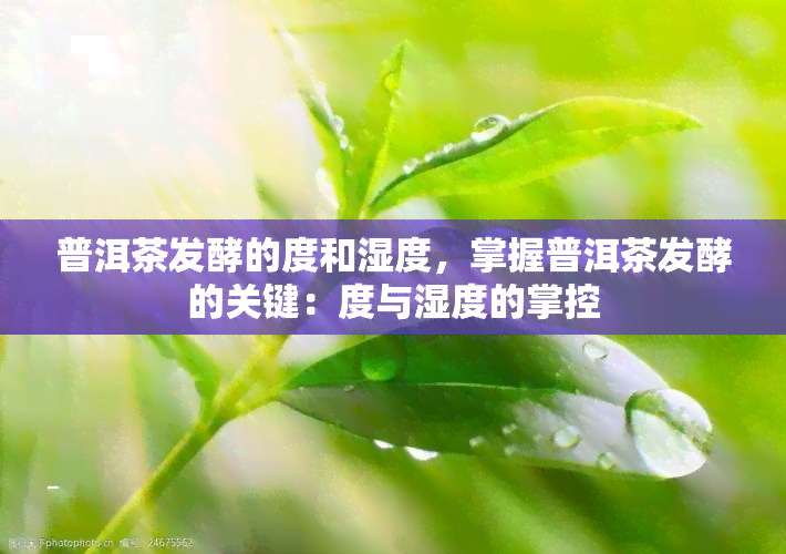 普洱茶发酵的度和湿度，掌握普洱茶发酵的关键：度与湿度的掌控