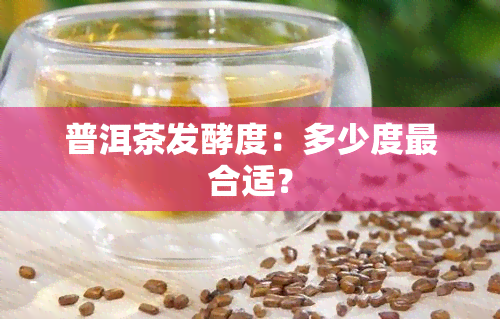 普洱茶发酵度：多少度最合适？