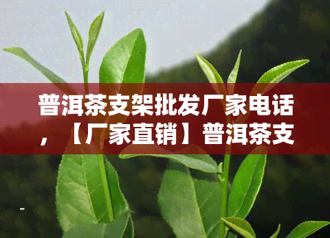 普洱茶支架批发厂家电话，【厂家直销】普洱茶支架批发电话，优质好货等你来选购！