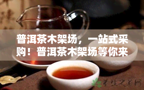 普洱茶木架场，一站式采购！普洱茶木架场等你来