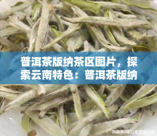 普洱茶版纳茶区图片，探索云南特色：普洱茶版纳茶区的美丽景色与丰富文化