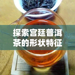 探索宫廷普洱茶的形状特征：详细解析与介绍