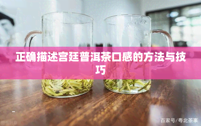 正确描述宫廷普洱茶口感的方法与技巧