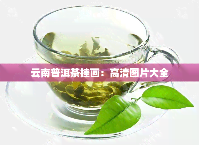 云南普洱茶挂画：高清图片大全