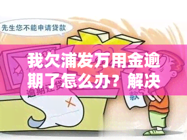 我欠浦发万用金逾期了怎么办？解决办法在此！