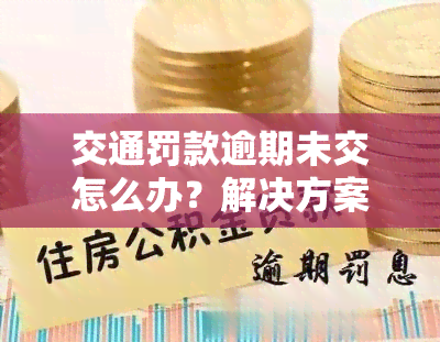 交通罚款逾期未交怎么办？解决方案全在这里！