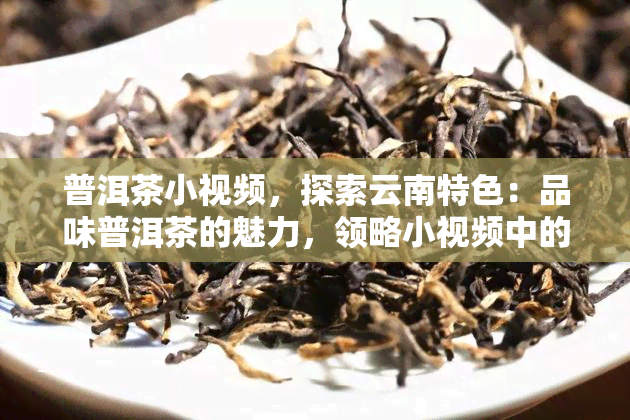 普洱茶小视频，探索云南特色：品味普洱茶的魅力，领略小视频中的茶园风光