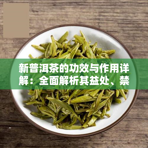 新普洱茶的功效与作用详解：全面解析其益处、禁忌与可能的副作用