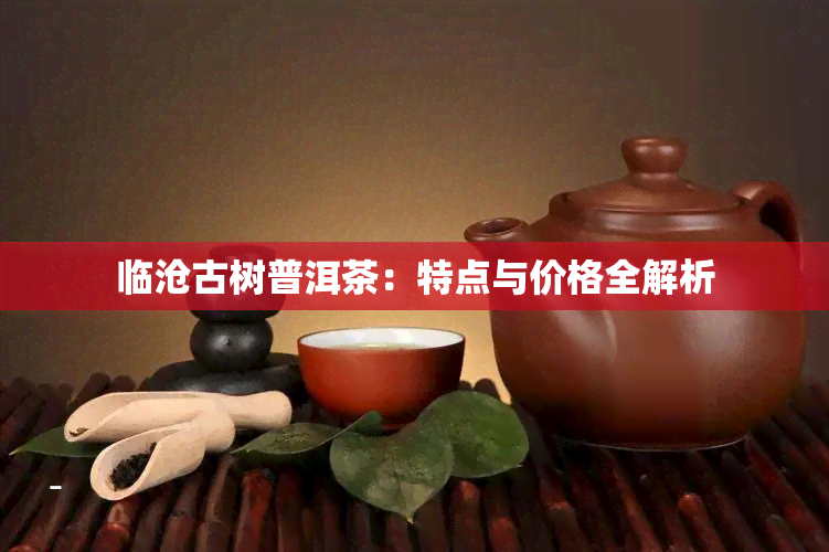 临沧古树普洱茶：特点与价格全解析