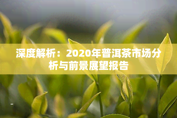 深度解析：2020年普洱茶市场分析与前景展望报告