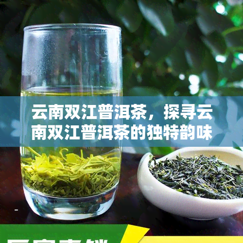 云南双江普洱茶，探寻云南双江普洱茶的独特韵味与历渊源