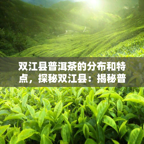 双江县普洱茶的分布和特点，探秘双江县：揭秘普洱茶的分布与独特特性