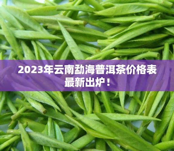 2023年云南勐海普洱茶价格表最新出炉！