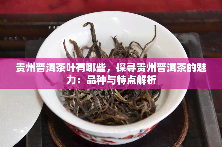贵州普洱茶叶有哪些，探寻贵州普洱茶的魅力：品种与特点解析
