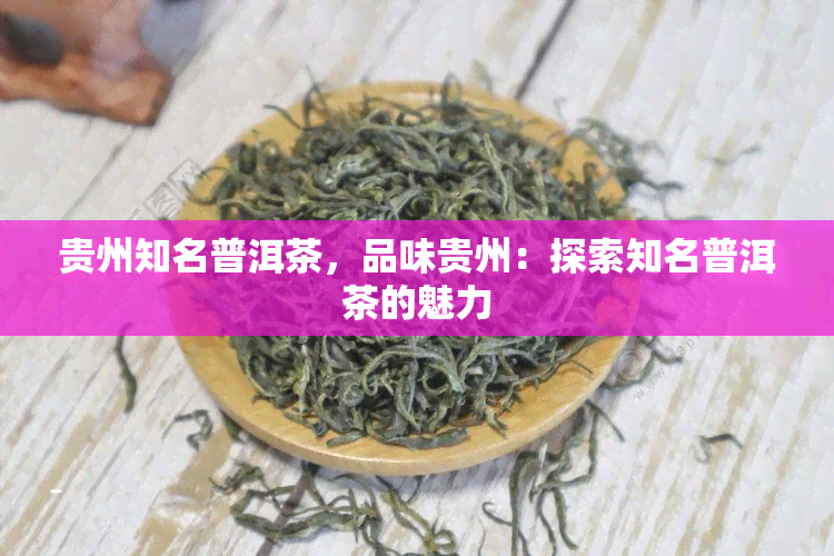 贵州知名普洱茶，品味贵州：探索知名普洱茶的魅力