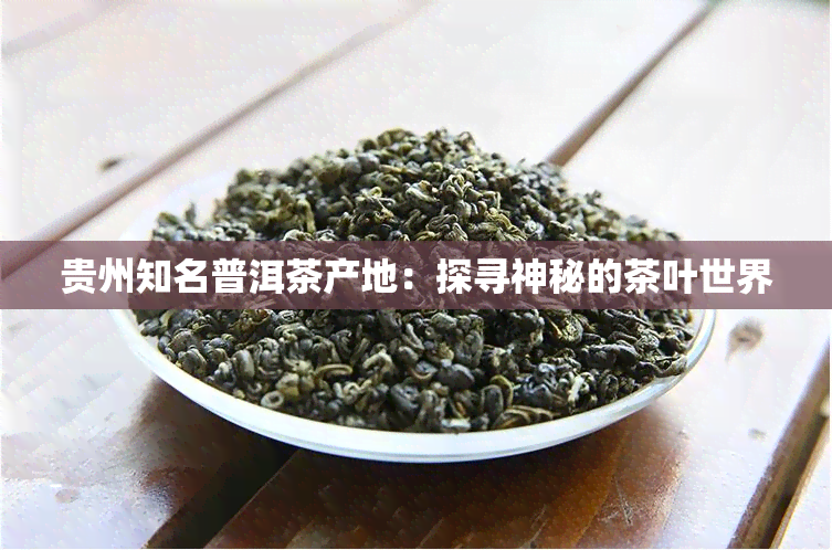 贵州知名普洱茶产地：探寻神秘的茶叶世界