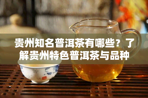 贵州知名普洱茶有哪些？了解贵州特色普洱茶与品种