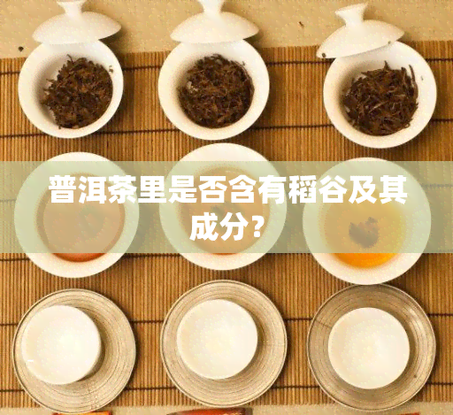 普洱茶里是否含有稻谷及其成分？