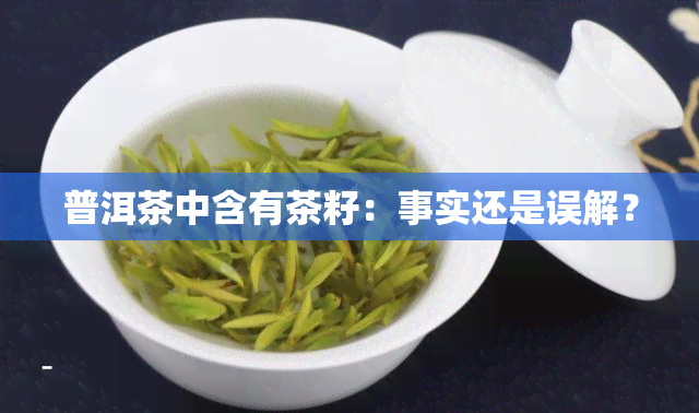普洱茶中含有茶籽：事实还是误解？