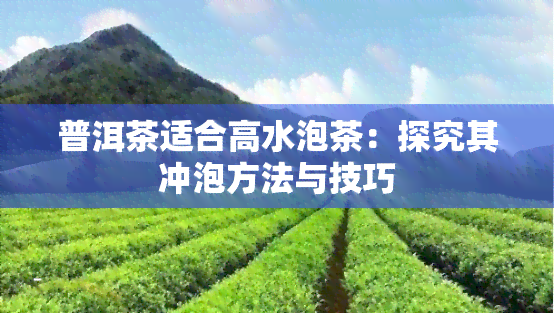 普洱茶适合高水泡茶：探究其冲泡方法与技巧