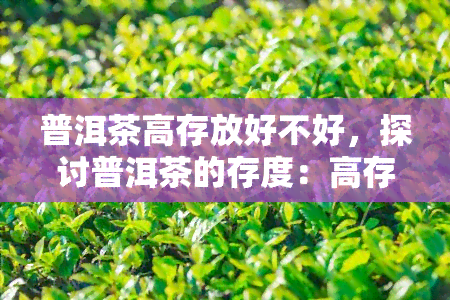 普洱茶高存放好不好，探讨普洱茶的存度：高存放是否适宜？